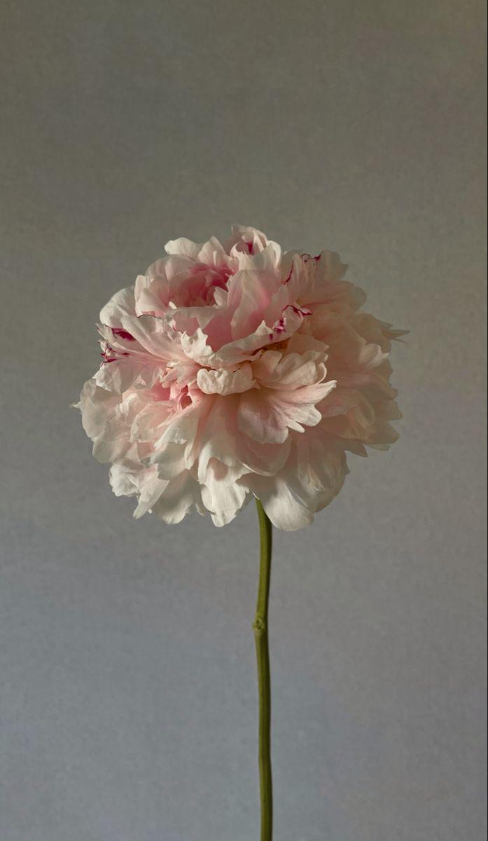 Kernel Grove Grain workshop space where corporate flower arrangements are designed and prepared for business delivery